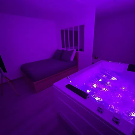 Avec Jacuzzi Proche Du Centre Strasbourg
